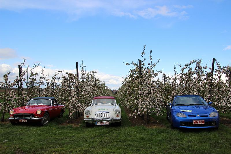 MG Bloesemrit op 24-4-2016 org. Jos&Marie-lou  (243).JPG